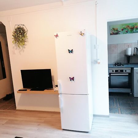 Romanilor - Studio First Floor Deva Extérieur photo