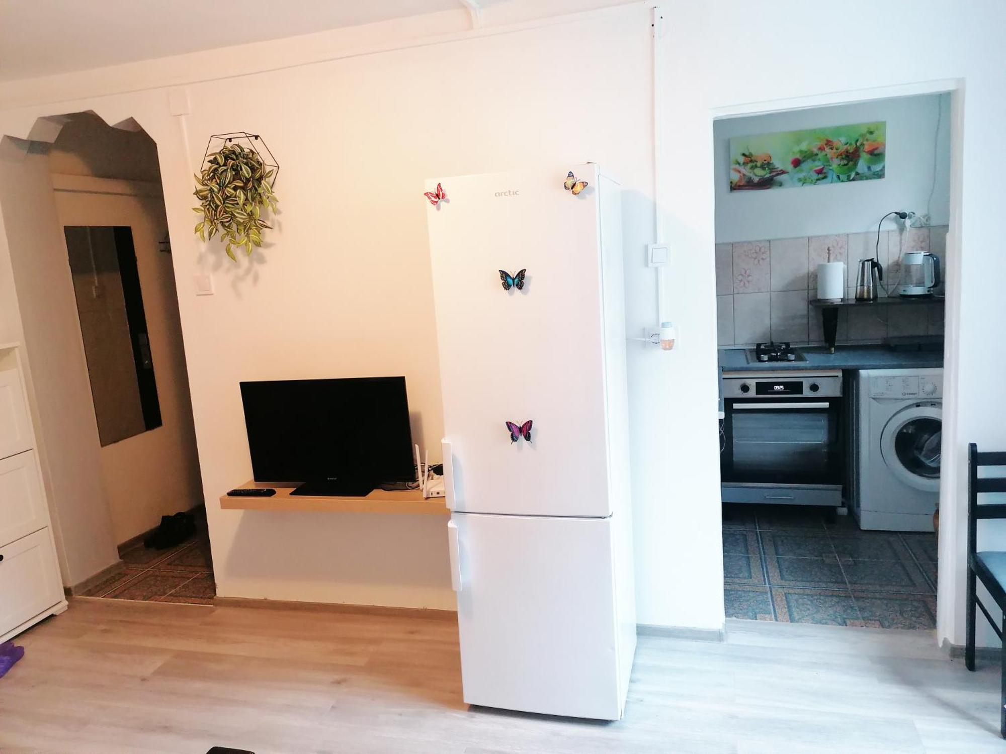 Romanilor - Studio First Floor Deva Extérieur photo